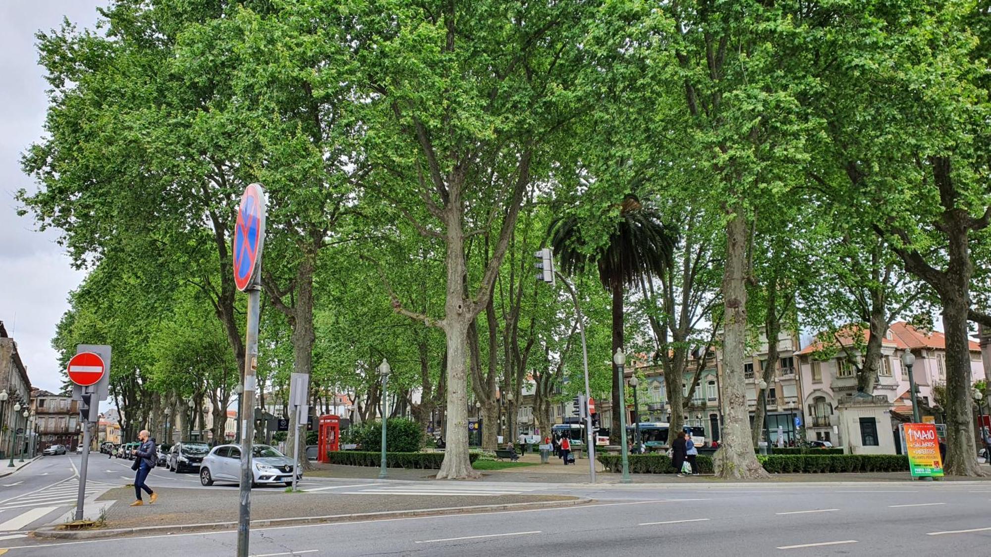Marques Garden With Parking Apartment Porto Bagian luar foto